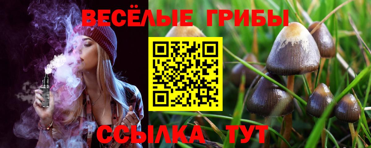 Сургут  Галлюциногенные грибы ЛСД  Вход с VPN 